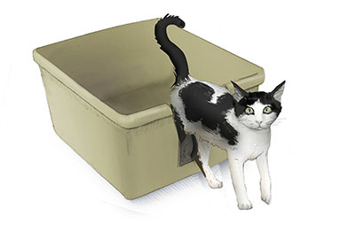 Litter box outlet for senior cats